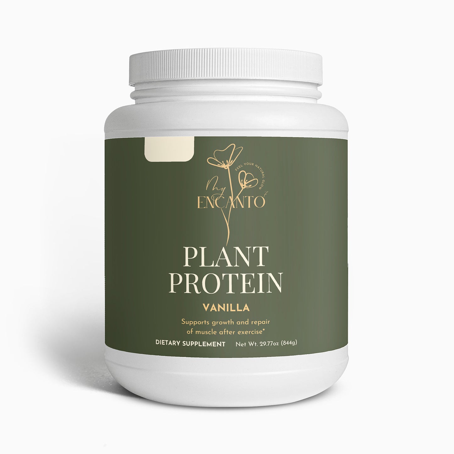 Plant Protein (Vanilla)