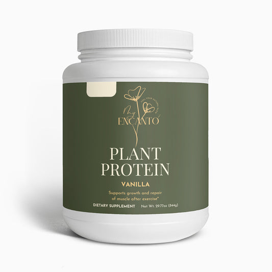 Plant Protein (Vanilla)