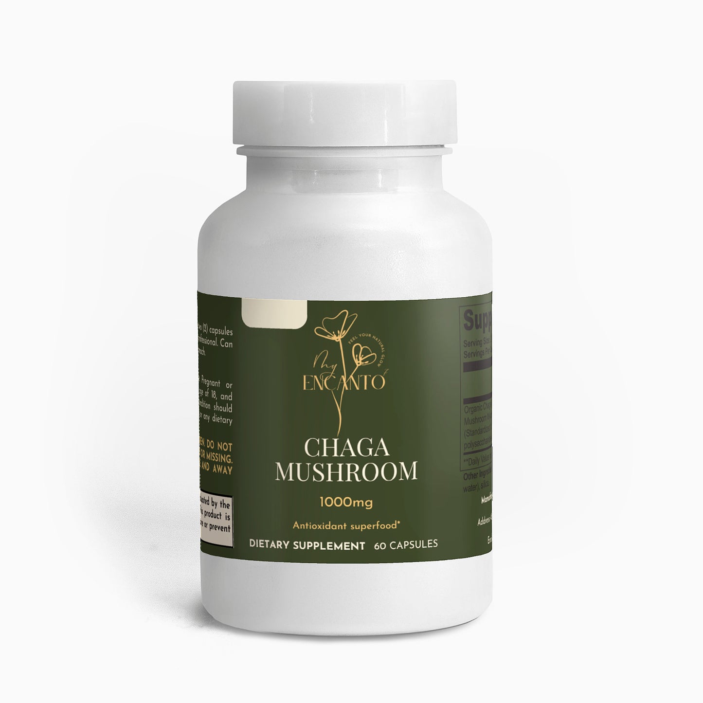 Chaga Mushroom